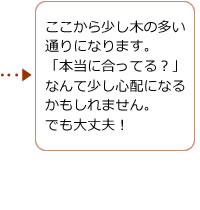 ここから少し木の多い通りになります。「本当に合ってる？」なんて少し心配になるかもしれません。でも大丈夫！