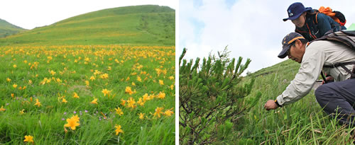 エコウォーク・トレッキングイメージ