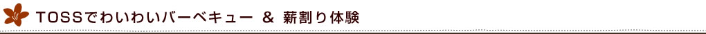 ＴＯＳＳでわいわいバーベキュー＆薪割り体験