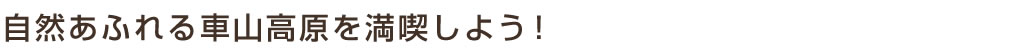 自然あふれる車山高原を満喫しよう！