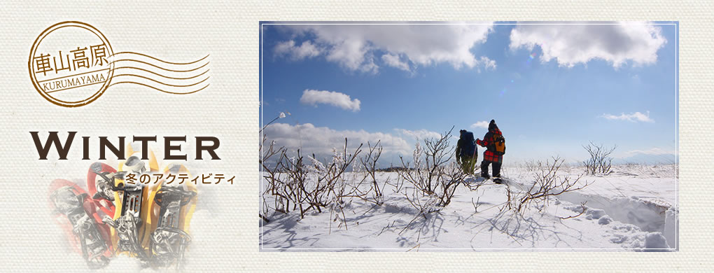冬のアクティビティ