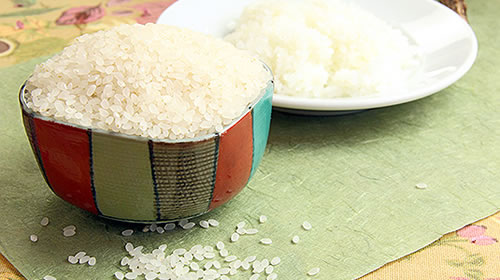 安曇郡松川村　宮田さんの無農薬米コシヒカリ