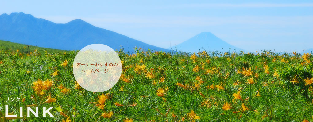 オーナーおすすめのホームページ